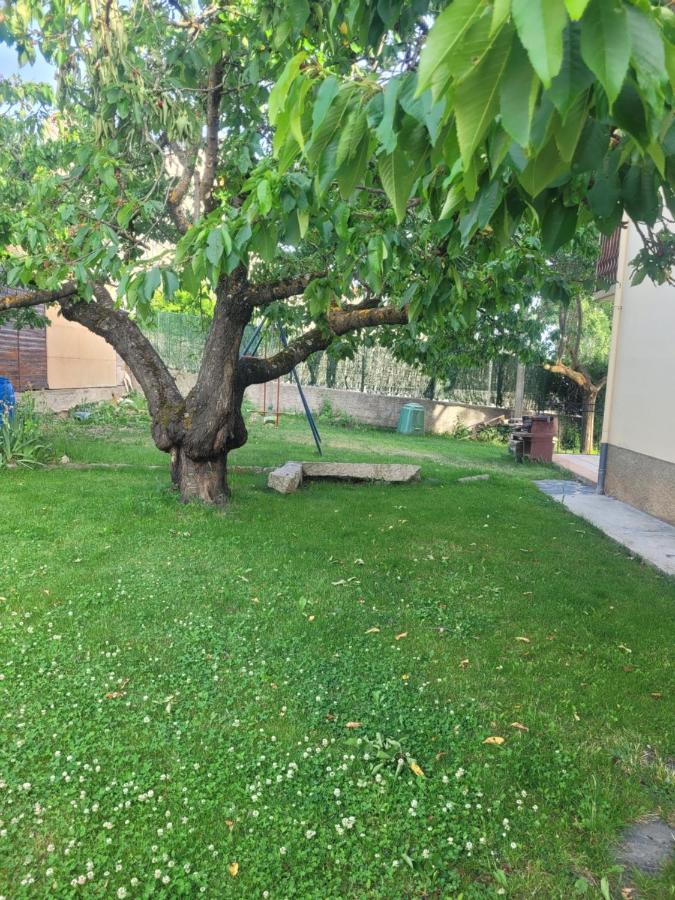 Maison De Vacances Au Coeur De La Cerdagne Angoustrine Kültér fotó